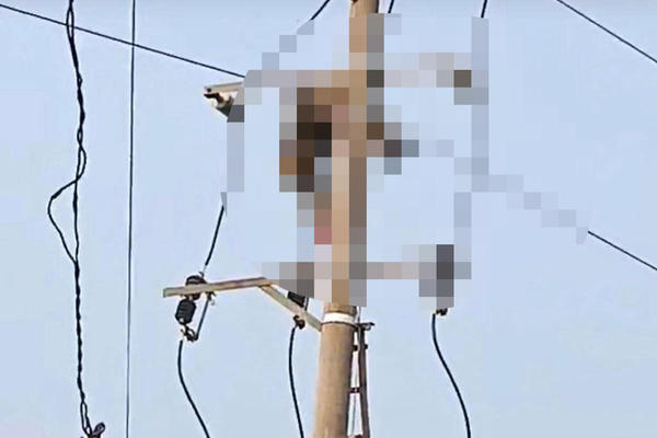 Bàng hoàng phát hiện thi thể học sinh trên cột điện trung thế ở Nghệ An