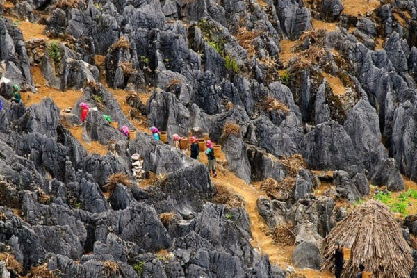 Tái đánh giá danh hiệu UNESCO tại Cao nguyên đá Đồng Văn