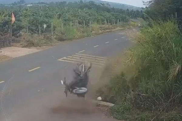 Khởi tố cựu CSGT trong vụ tai nạn khiến nam sinh 18 tuổi tử vong ở Đắk Lắk