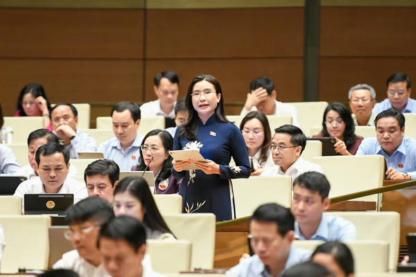 ĐBQH nêu 5 đề xuất phát triển văn hóa gắn với thế hệ trẻ