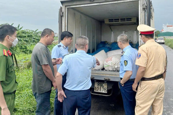 Ngăn chặn hơn 1 tấn lòng lợn ôi thiu trên đường vận chuyển tiêu thụ