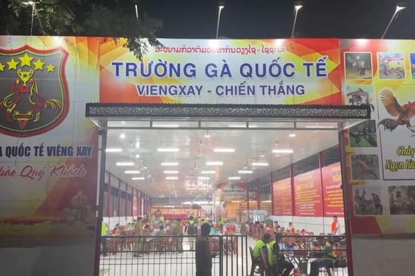 Triệt phá "trường gà quốc tế" nghìn tỷ ở Lào, 196 bị can bị khởi tố, thu giữ 36 ô tô