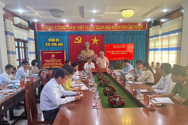 Đoàn giám sát của Ủy ban Kiểm tra Tỉnh ủy Đồng Nai làm việc tại xã Trị An: Bảo đảm thực hiện đúng quy định về chính sách cán bộ và quản lý tài sản công