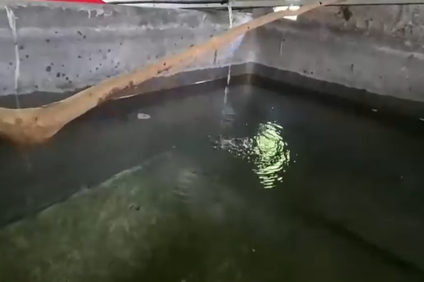 UBND tỉnh Tuyên Quang chỉ đạo sớm khắc phục tình trạng nguồn nước bị ô nhiễm 