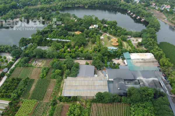 Công ty cổ phần Constrexim - Meco bị thu hồi hơn 10.000m2 đất