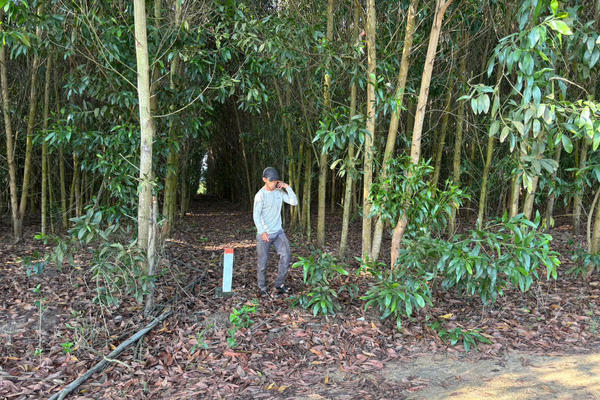 Người dân vùng dự án Cao tốc Dầu Giây - Tân Phú mong được đền bù, hỗ trợ thỏa đáng