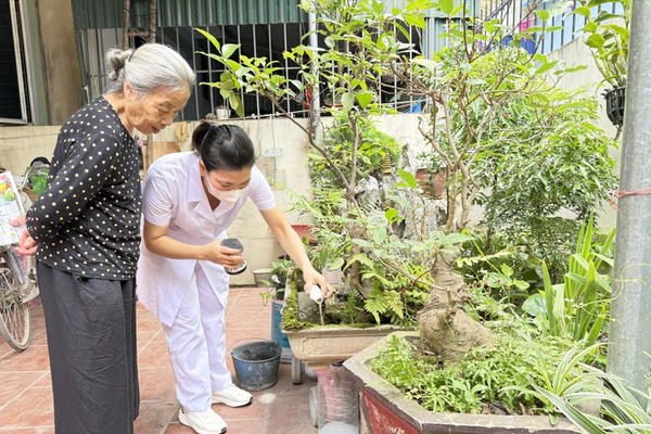 Hà Nội chủ động phòng sốt xuất huyết từ sớm, số ca mắc giảm