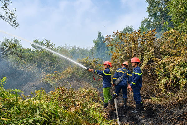 Cà Mau tăng cường phòng cháy, chữa cháy rừng trước nguy cơ cháy cực kỳ nguy hiểm