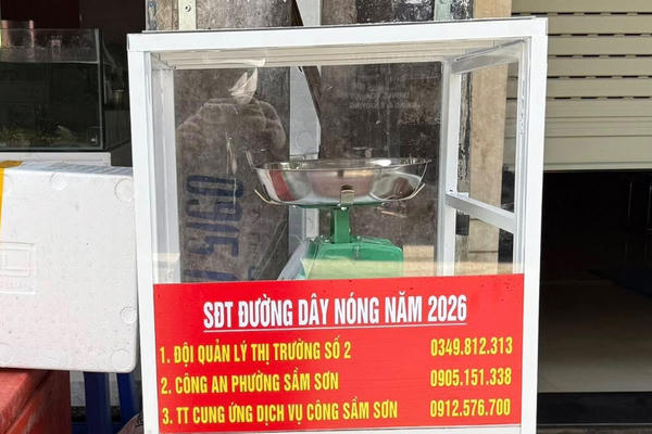 Sầm Sơn lắp cân đối chứng bảo vệ quyền lợi du khách