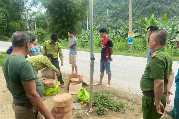 Phát hiện, ngăn chặn đối tượng ở Cao Bằng gửi 6 khối gỗ tròn lên xe khách đi tiêu thụ
