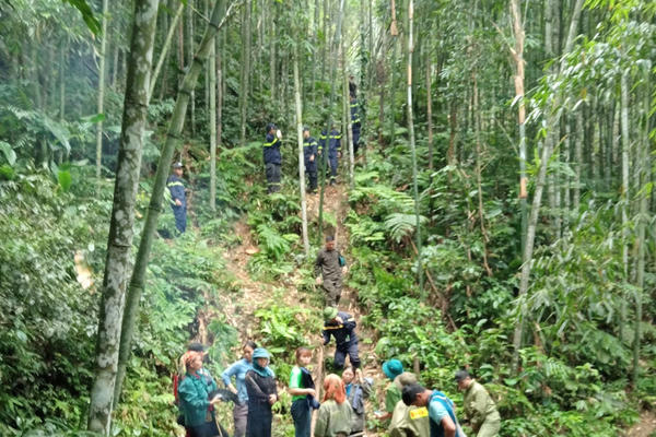 Huy động hơn 100 người tìm kiếm người đàn ông mất tích khi đi rừng