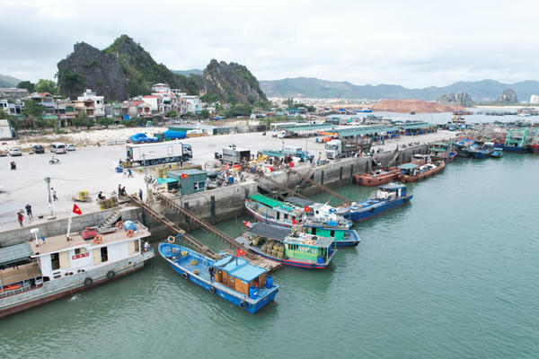 Quảng Ninh công bố mở cảng cá Cái Rồng tại đặc khu Vân Đồn