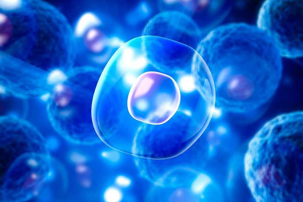 Chính phủ thúc đẩy phát triển vaccine thế hệ mới và ứng dụng công nghệ in 3D trong y tế Chính phủ thúc đẩy phát triển vaccine thế hệ mới và ứng dụng công nghệ in 3D trong y tế