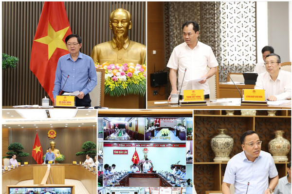  Xử lý nghiêm tình trạng môi giới, mua bán, cho thuê mã số rừng trồng trái quy định