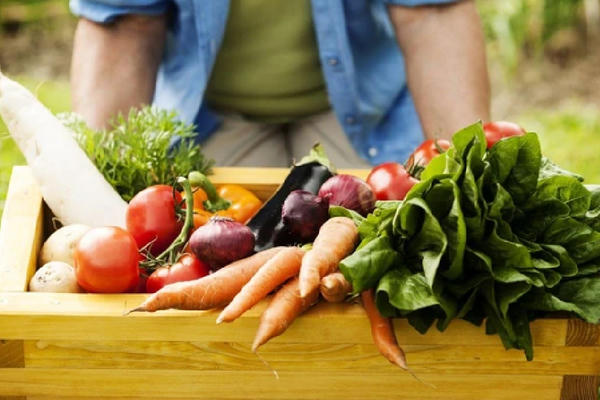 Luật hóa cơ chế quản lý mã số vùng trồng để giữ uy tín nông sản xuất khẩu