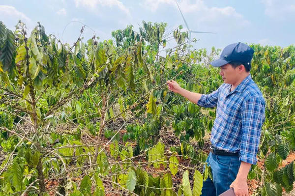 El Nino có thể đến sớm từ tháng 6: Việt Nam chủ động ứng phó nguy cơ nắng nóng, hạn hán và thiên tai cực đoan