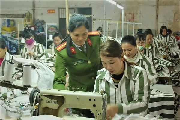 Phạm nhân được xóa mù chữ, học nghề và cấp chứng chỉ từ ngày 1/7/2026 Phạm nhân được xóa mù chữ, học nghề và cấp chứng chỉ từ ngày 1/7/2026