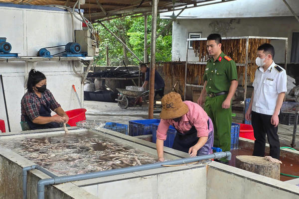 Kiểm tra hộ kinh doanh, phát hiện hơn 3 tấn nội tạng lợn không rõ nguồn gốc chuẩn bị tung ra thị trường