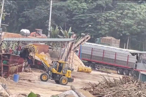 UBND xã Hùng Lợi yêu cầu dừng hoạt động cơ sở chế biến gỗ xây dựng trên đất nông nghiệp sau phản ánh của Pháp luật Plus