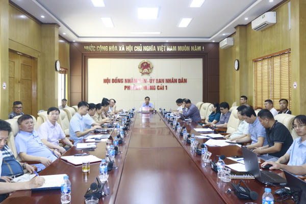 Quảng Ninh rà soát tổng thể phương án đầu tư cầu Bắc Luân III và cầu Km3+4