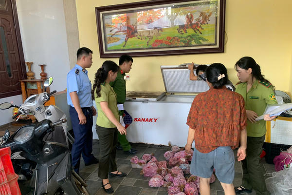 Thu giữ 290 cá thể cò hương làm sạch, cấp đông chờ tiêu thụ tại Thanh Hóa Thu giữ 290 cá thể cò hương làm sạch, cấp đông chờ tiêu thụ tại Thanh Hóa