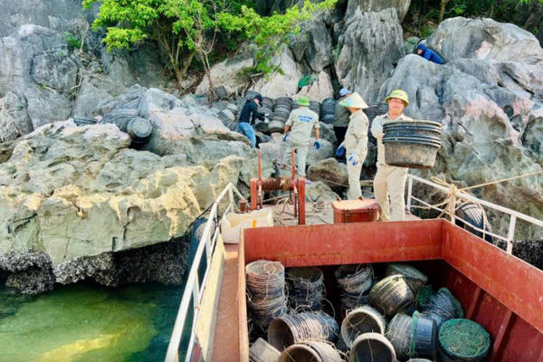 Thu gom, tiêu hủy hàng nghìn lồng nuôi thủy sản trái phép, làm sạch môi trường Vịnh Hạ Long Thu gom, tiêu hủy hàng nghìn lồng nuôi thủy sản trái phép, làm sạch môi trường Vịnh Hạ Long