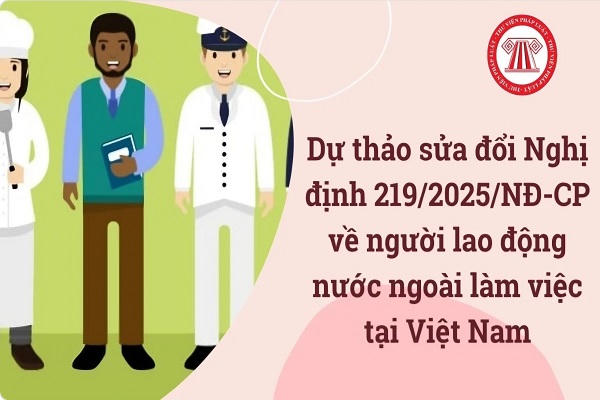 Tạo hành lang pháp lý thông thoáng để Việt Nam thu hút nhân tài quốc tế 