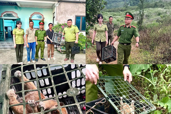 Tuyên Quang liên tiếp thả các loài động vật quý hiếm về với môi trường tự nhiên Tuyên Quang liên tiếp thả các loài động vật quý hiếm về với môi trường tự nhiên