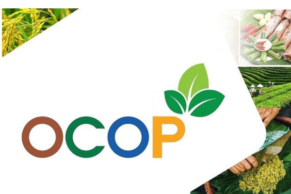 Siết chặt tiêu chí OCOP: Động lực nâng tầm thương hiệu nông sản Việt