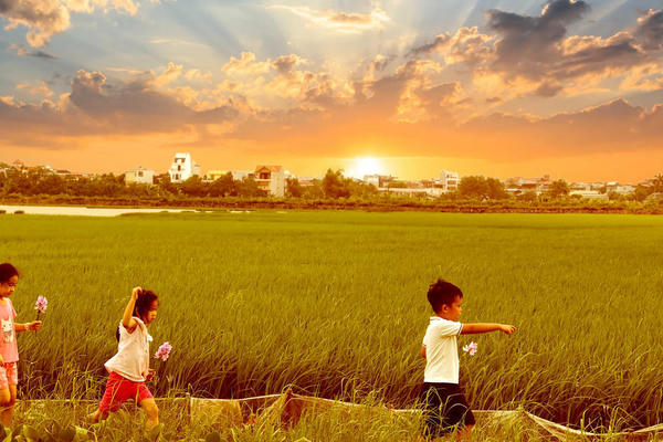 Tháng Tám trong nỗi nhớ Tháng Tám trong nỗi nhớ