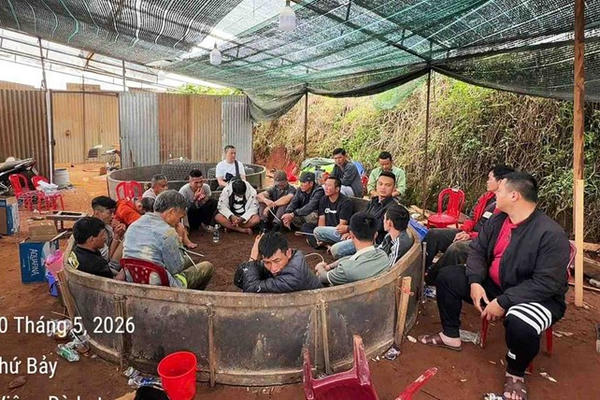 Hơn 20 người bị đưa về trụ sở sau cuộc đột kích trường gà ở Đà Lạt Hơn 20 người bị đưa về trụ sở sau cuộc đột kích trường gà ở Đà Lạt