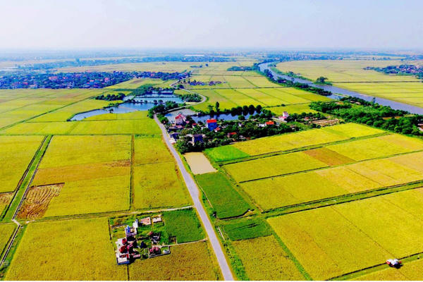 Hướng dẫn về việc tính và tính lại tiền sử dụng đất Hướng dẫn về việc tính và tính lại tiền sử dụng đất