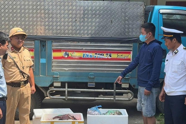 Phát hiện 145kg nội tạng lợn rỉ nước hôi thối được vận chuyển từ Lào Cai về Hà Nội