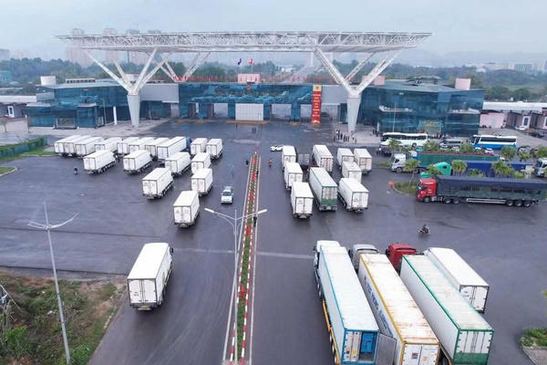 Hải quan khu vực VIII thu ngân sách gần 7.500 tỷ đồng