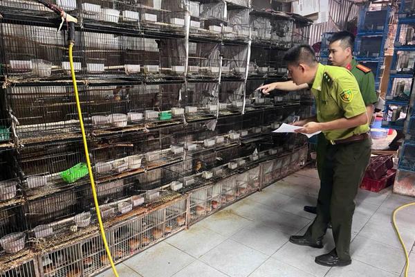 Công an Hà Nội xử lý nghiêm các hành vi săn bắt, nuôi nhốt động vật hoang dã trái phép
