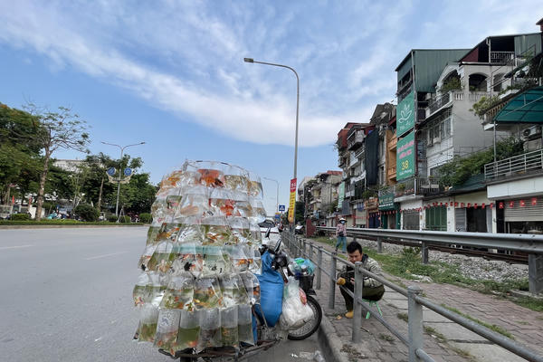 Nhọc nhằn những chuyến xe chở cả "thủy cung" mưu sinh trên phố Hà Nội