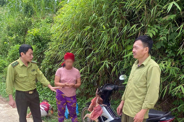 Xác minh đối tượng bán thịt mèo, nhưng lừa du khách là thú rừng