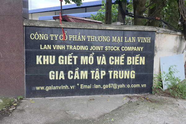 Phù Đổng (Hà Nội): Hàng loạt lò mổ gia cầm bị xử phạt vì xả thải vượt quy chuẩn