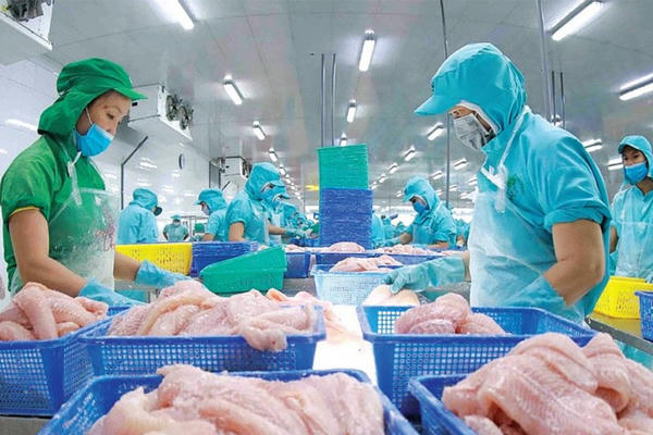 Ngành thủy sản phục hồi xuất khẩu, đạt 4,67 tỷ USD trong 5 tháng đầu năm