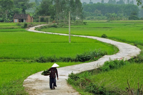 Thơ tặng Mẹ Thơ tặng Mẹ