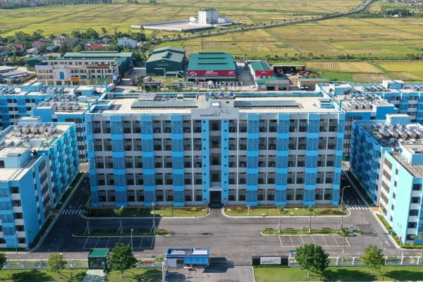 Nghệ An thiết lập đường dây nóng tiếp nhận phản ánh liên quan đến mua bán nhà ở xã hội