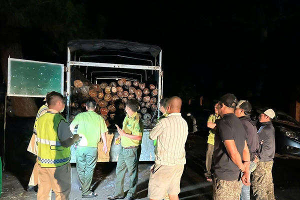Mật phục trong đêm, CSGT Đắk Lắk phát hiện 2 xe tải chở hơn 8,7m³ gỗ không rõ nguồn gốc