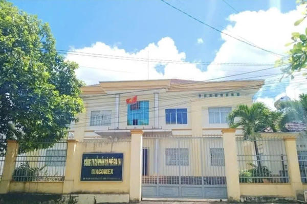Khởi tố thêm 3 cựu lãnh đạo Công ty Cà phê Gia Lai trong vụ thất thoát hơn 3,2 tỷ đồng