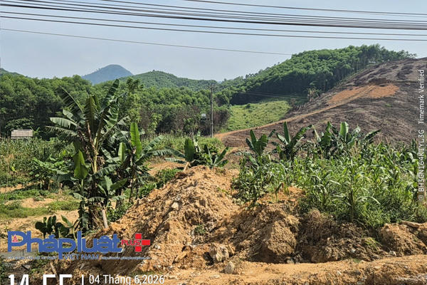 Cần xử lý nghiêm việc Công ty TNHH Hùng Long Tuyên Quang thi công đổ thải trái quy định tại dự án đường ĐH05 ở Tuyên Quang
Cần xử lý nghiêm việc Công ty TNHH Hùng Long Tuyên Quang thi công đổ thải trái quy định tại dự án đường ĐH05 ở Tuyên Quang
