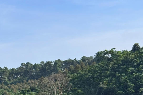 Hơn 100 người ở Lâm Đồng xuyên đêm tìm kiếm 3 nạn nhân mất tích trên sông Đồng Nai