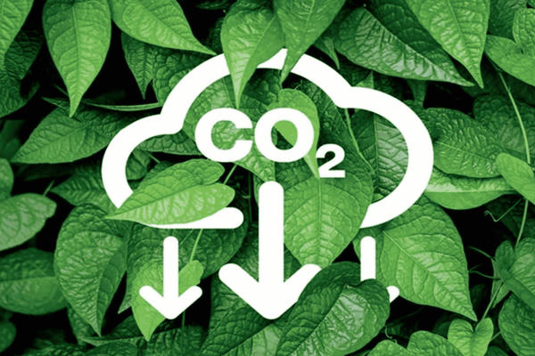 Những công ty chứng khoán đăng ký thành công trên sàn giao dịch carbon
