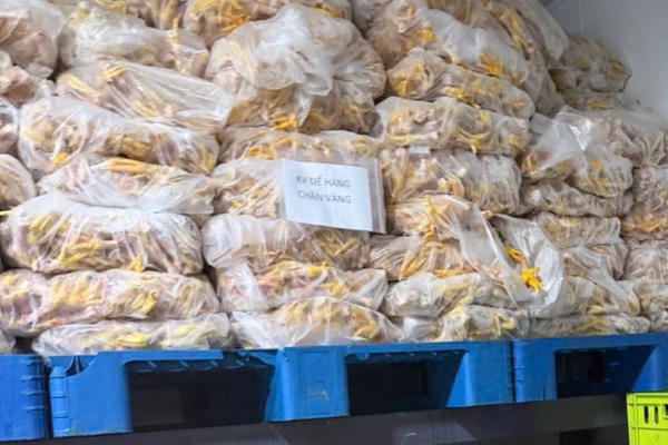 Phát hiện gần 8 tấn chân gà không rõ nguồn gốc, xuất xứ và hết hạn sử dụng