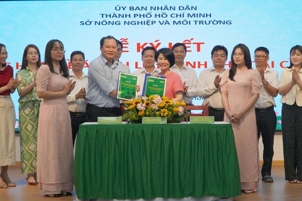 Cần Giờ đón dự án du lịch sinh thái đầu tiên, ưu tiên bảo tồn rừng ngập mặn
