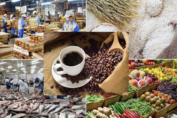 Ban hành Hệ thống ngành sản phẩm Việt Nam gồm 7 cấp