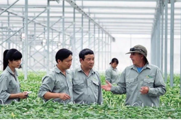 Siết chặt trách nhiệm và ưu đãi trong chuyển giao công nghệ nông nghiệp